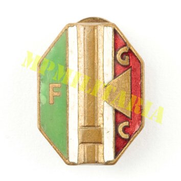 Pin fascista F.G.C. “Fasci Giovanili di Combattimento” - II Guerra
