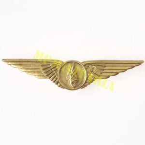Antigo Brevet / Distintivo de Oficial Intendente da Força Aérea Brasileira - Modelo Antigo
