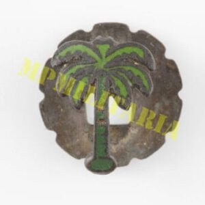Raro Pin do Palmeiras - Anos 40