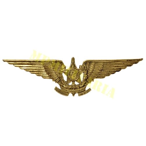 Brevê de piloto da Força Aérea Brasileira EUB - modelo antigo vazado