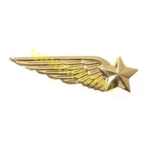 Antigo Brevet / Distintivo de Cadete Aviador da FAB