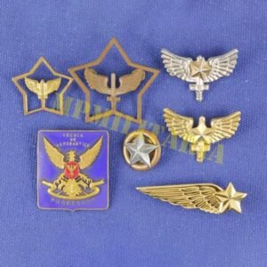 Lote de Insígnias e Distintivos da Academia de Força Aérea