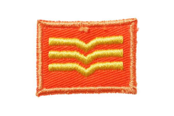 INSÍGNIA DE 3º SARGENTO DO BONÉ DO ESQUADRÃO AEROTERRESTRE DE SALVAMENTO – FAB