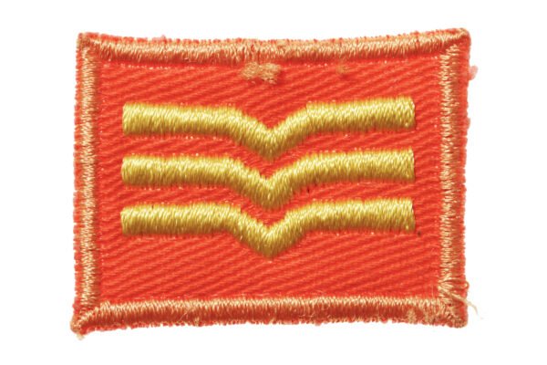 INSÍGNIA DE 3º SARGENTO DO BONÉ DO ESQUADRÃO AEROTERRESTRE DE SALVAMENTO – FAB - Imagem 2
