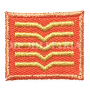INSÍGNIA DE 1º SARGENTO DO BONÉ DO ESQUADRÃO AEROTERRESTRE DE SALVAMENTO – FAB