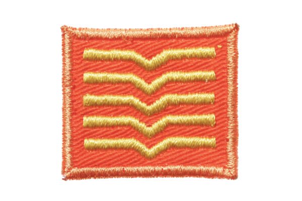 INSÍGNIA DE 1º SARGENTO DO BONÉ DO ESQUADRÃO AEROTERRESTRE DE SALVAMENTO – FAB