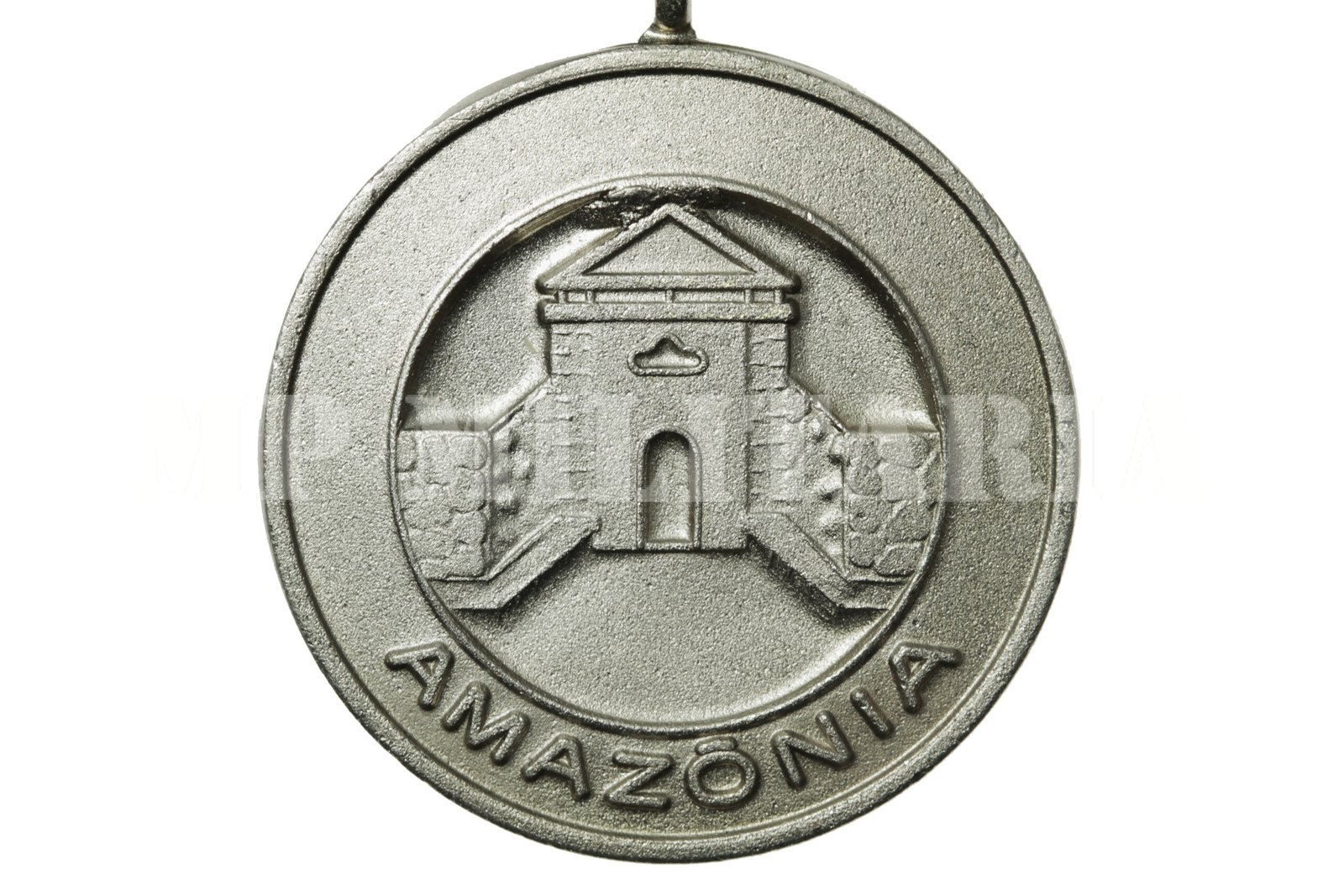 MEDALHA DE SERVIÇO AMAZÔNICO DO EXÉRCITO BRASILEIRO – 1 CASTANHEIRA - Imagem 4
