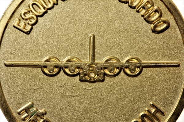 MEDALHA 1º / 1º GRUPO DE TRANSPORTE HÉRCULES ∙ ESQUADÃO GORDO – FAB - Imagem 3