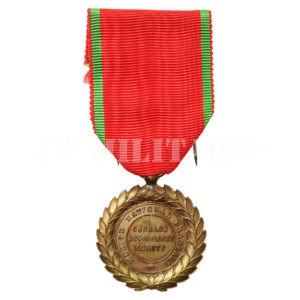 MEDALHA DE MÉRITO, CORAGEM E DEDICAÇÃO