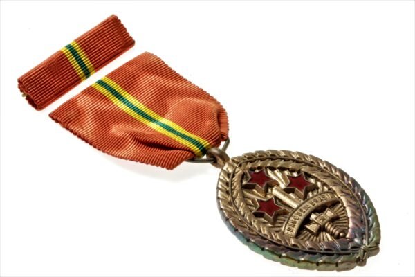 MEDALHA SANGUE DO BRASIL ∙ FEB – II GUERRA - Imagem 7