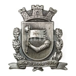 PIN BRASÃO DA CIDADE DE SÃO PAULO