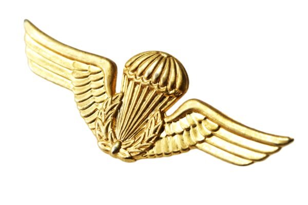 BREVET DE PARAQUISTA BRASILEIRO DOURADO - Imagem 3