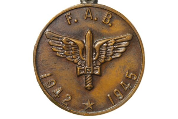 CONJUNTO MEDALHA DA FAB CAMPANHA NO ATLÂNTICO SUL E PATCH US ARMY FORCES SOUTH ATLANTIC - II GUERRA - Imagem 5