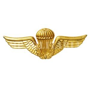 BREVET DE PARAQUISTA BRASILEIRO DOURADO