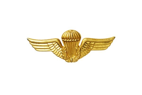 BREVET DE PARAQUISTA BRASILEIRO DOURADO