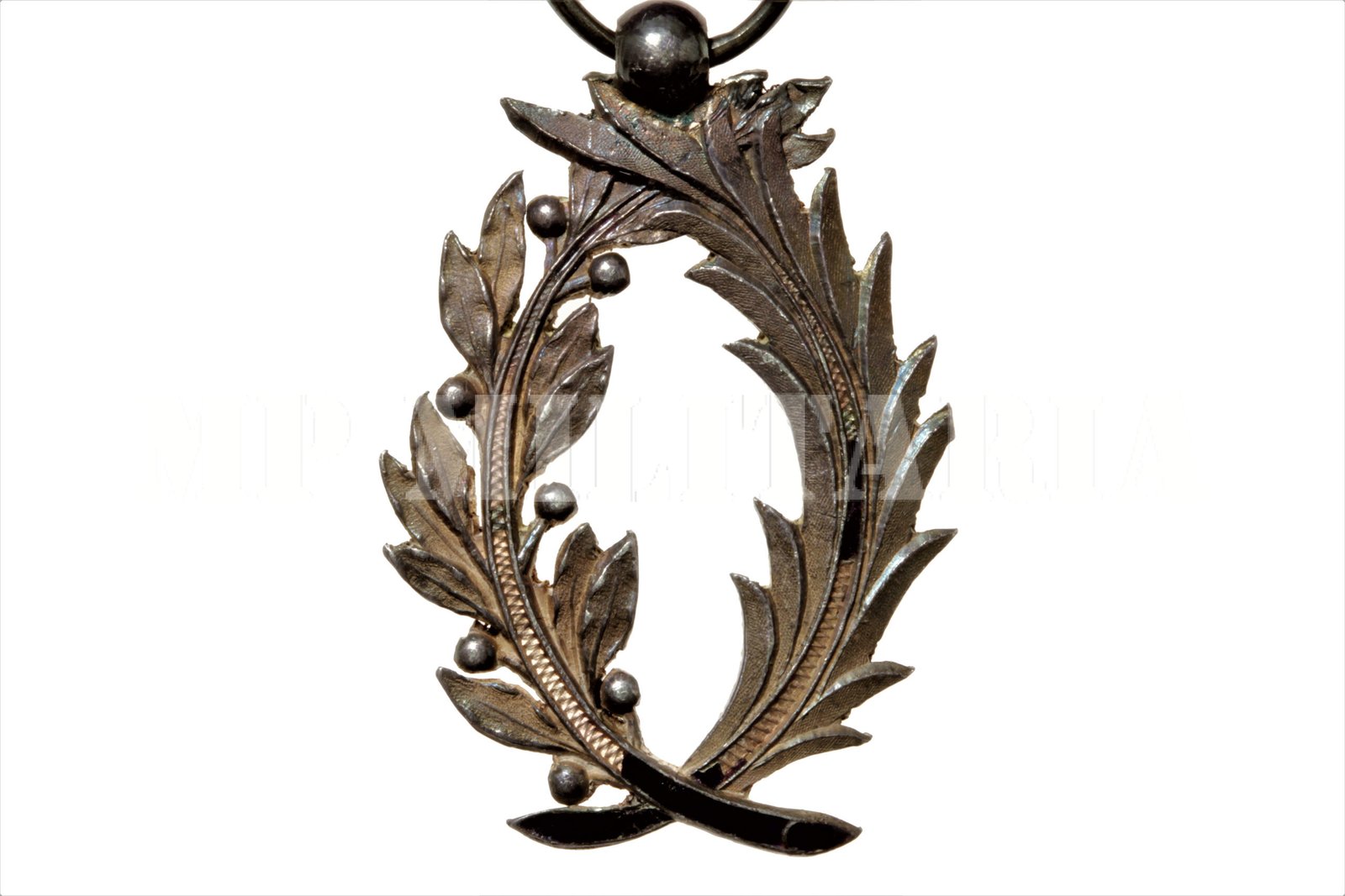 MEDALHA FRANCESA ORDEM DAS PALMAS ACADÊMICAS – GRAU CAVALEIRO - Imagem 4