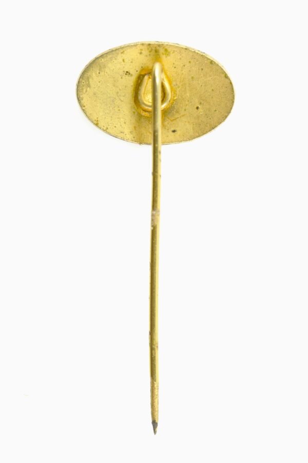 PIN DISTINTIVO DA AEROVIAS BRASIL - Image 3