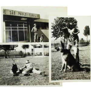 LOTE DE FOTOS DO CANIL DA FORÇA PÚBLICA DE SÃO PAULO • DPM – ANOS 60