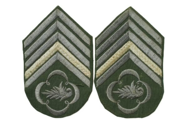 PAR DE DIVISAS DE 2º SARGENTO APERFEIÇOADO DE INTENDÊNCIA – EXÉRCITO - Imagem 2