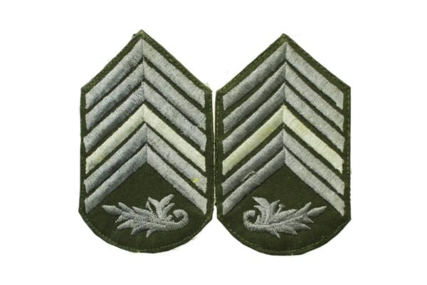 PAR DE DIVISAS DE 1º SARGENTO DE INTENDÊNCIA – EXÉRCITO