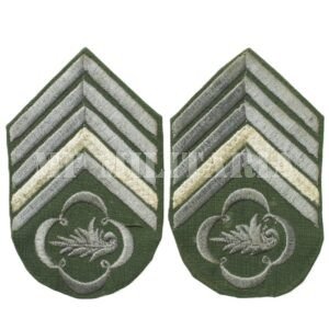 PAR DE DIVISAS DE 2º SARGENTO APERFEIÇOADO DE INTENDÊNCIA – EXÉRCITO