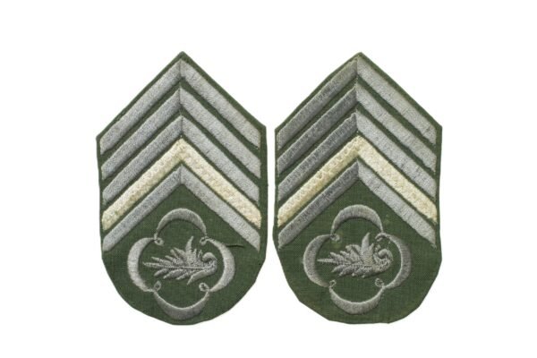 PAR DE DIVISAS DE 2º SARGENTO APERFEIÇOADO DE INTENDÊNCIA – EXÉRCITO