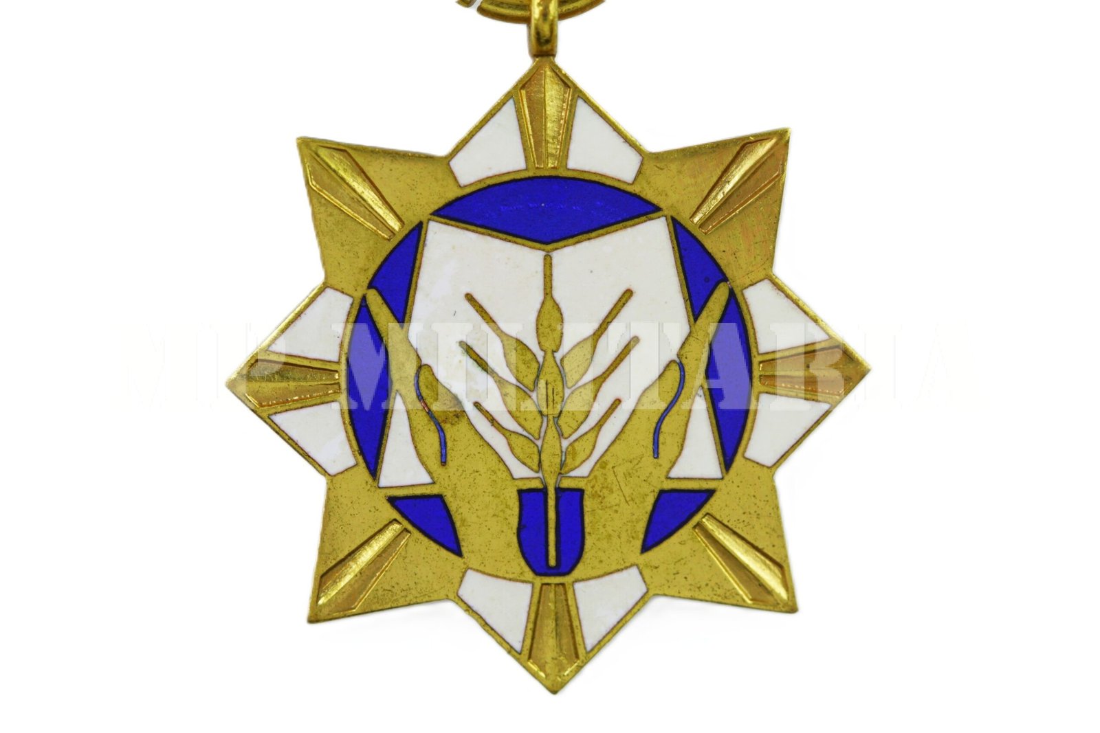 MEDALHA DA ALIMENTAÇÃO ESCOLAR DO MINISTÉRIO DA EDUCAÇÃO E CULTURA - Imagem 3