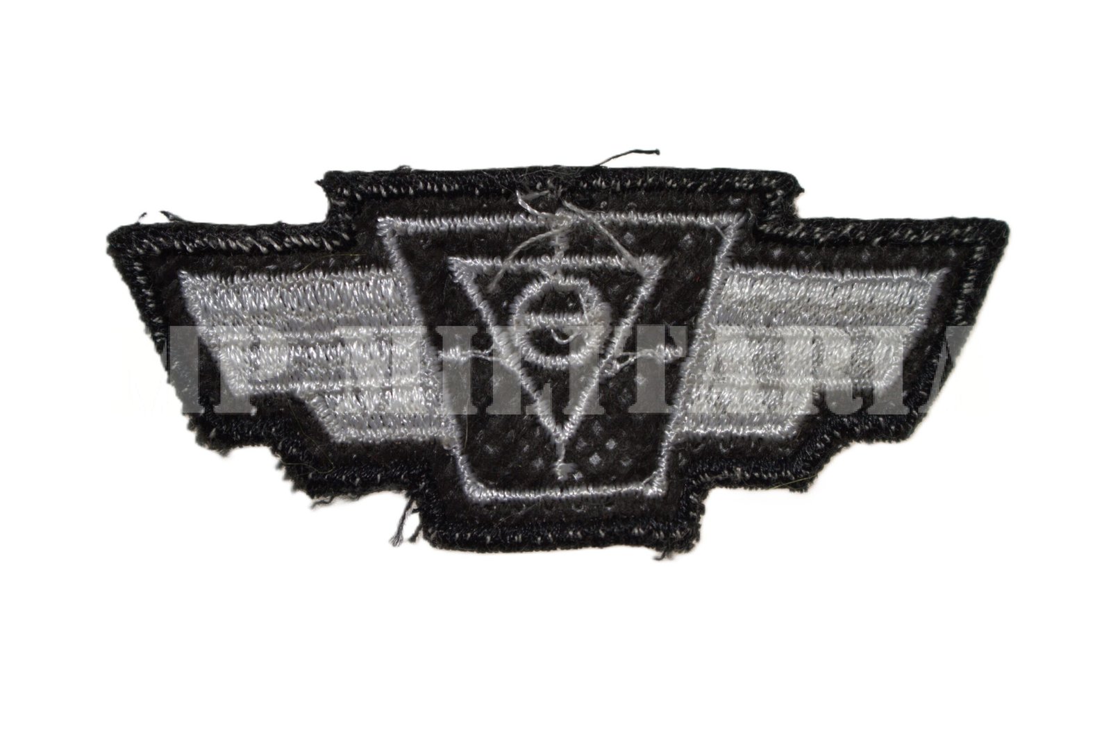 DISTINTIVO / BREVÊ DE CURSO DE DIREÇÃO DEFENSIVA - Imagem 3