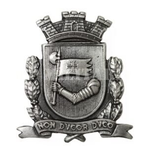 PIN BRASÃO DA CIDADE DE SÃO PAULO