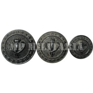 CONJUNTO DE BOTÕES DO SERVIÇO DE VETERINÁRIA DO EXÉRCITO BRASILEIRO