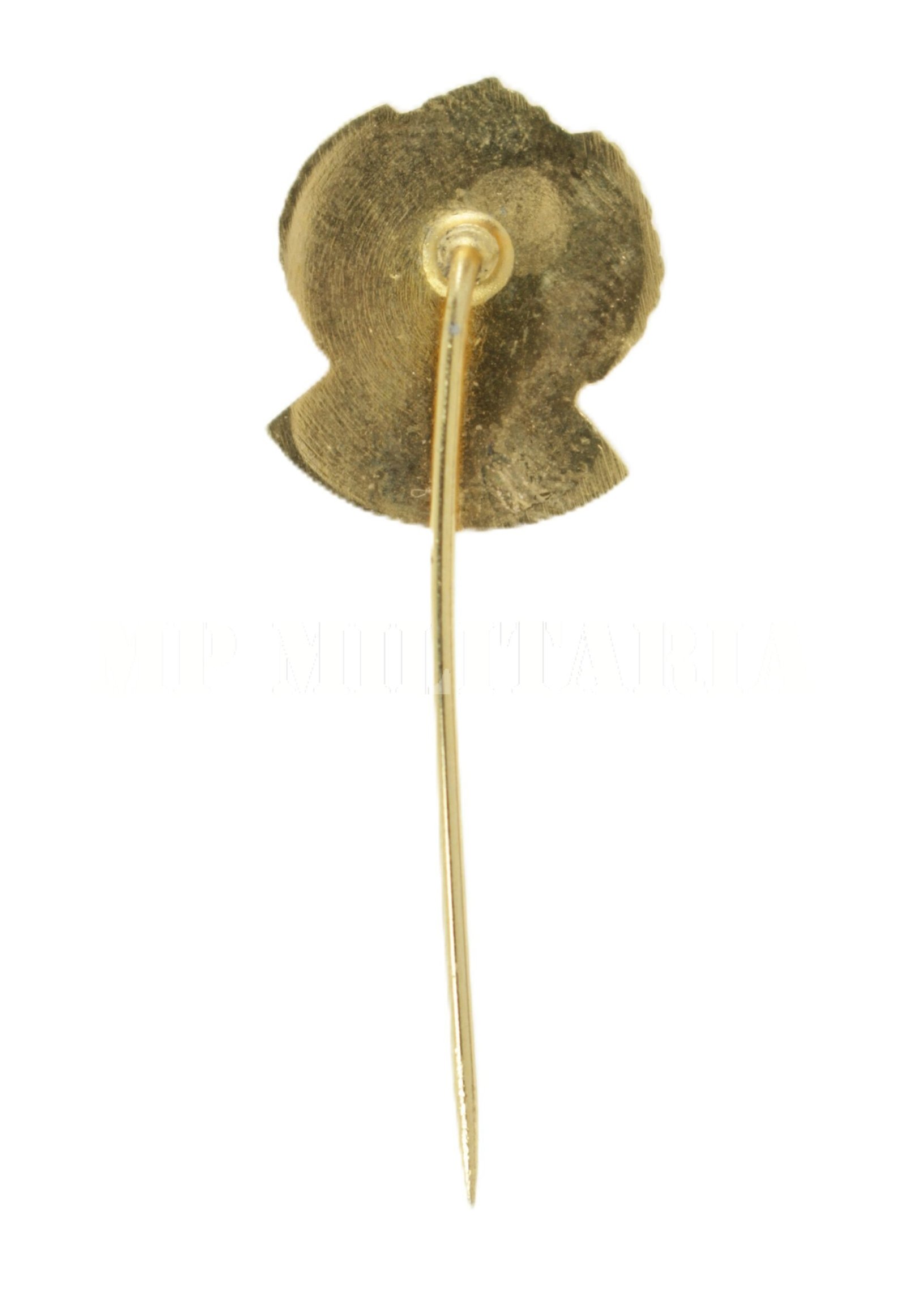 PIN DE LAPELA DO DISTINTIVO DA ESCOLA SUPERIOR DE GUERRA ESG – TURMA 79 - Imagem 3