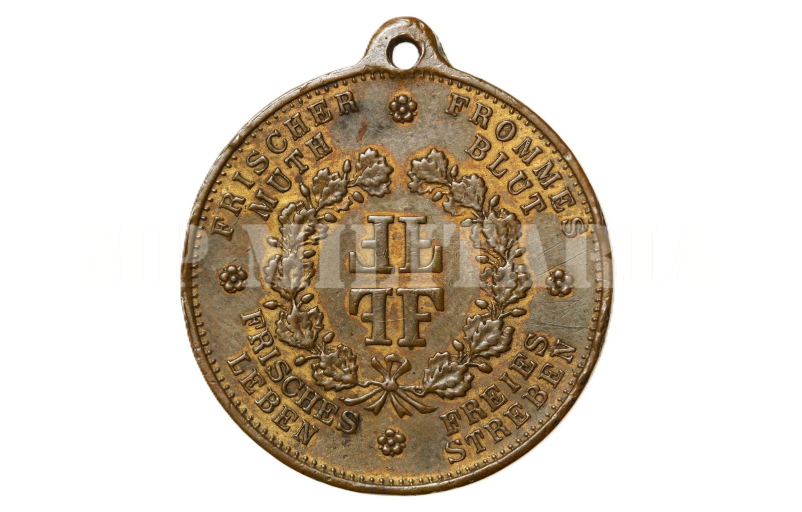 MEDALHA FRIEDRICH LUDWIG JAHN 1778–1852 • PAI DA GINASTICA – ALEMANHA - Imagem 2