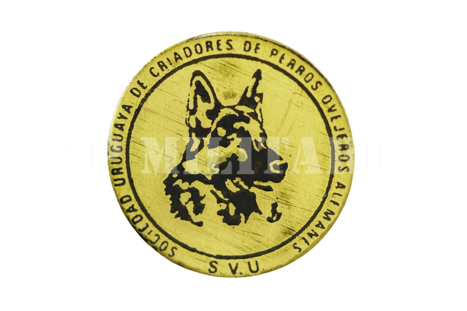 PIN DA SOCIEDADE URUGUAIA DE CACHORROS PASTORES ALEMÃES DO URUGUAI