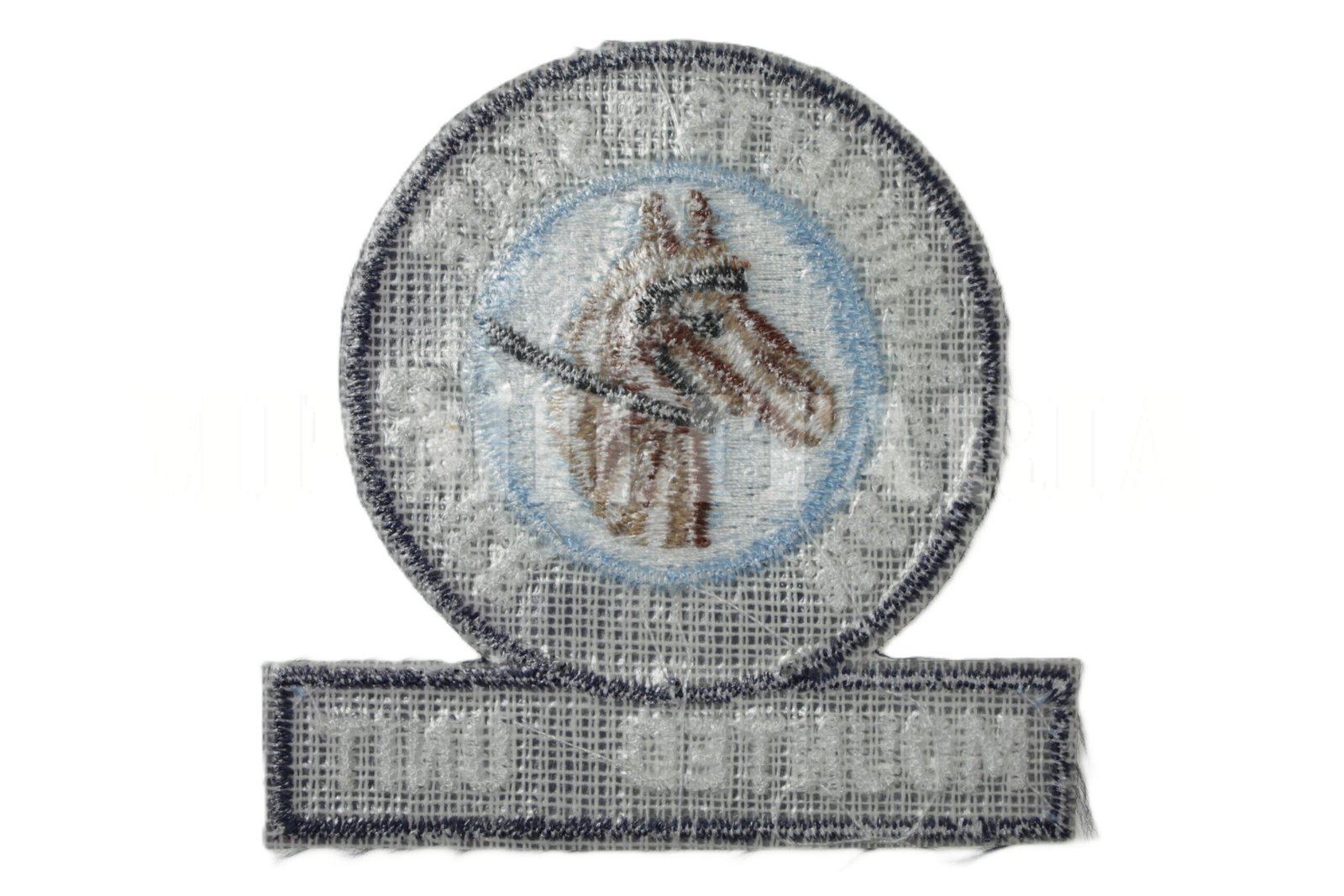 PATCH DE MASSACHUSETTS STATE POLICE • MOUNTES UNIT, CAVALARIA – ESTADOS UNIDOS - Imagem 2