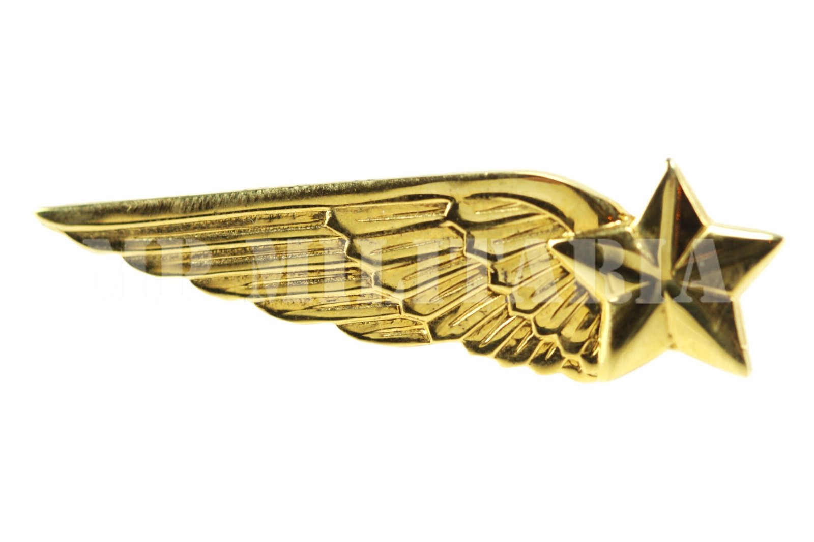 ANTIGO BREVET / DISTINTIVO DE CADETE AVIADOR DA FAB – FORÇA AÉREA BRASILEIRA - Imagem 2
